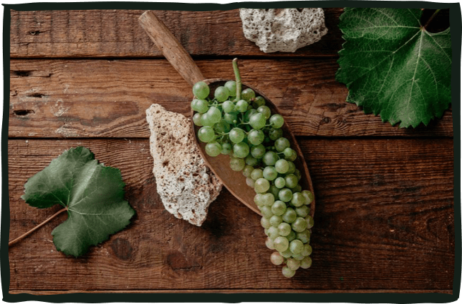 Decanter: Hungary's other key grape varieties