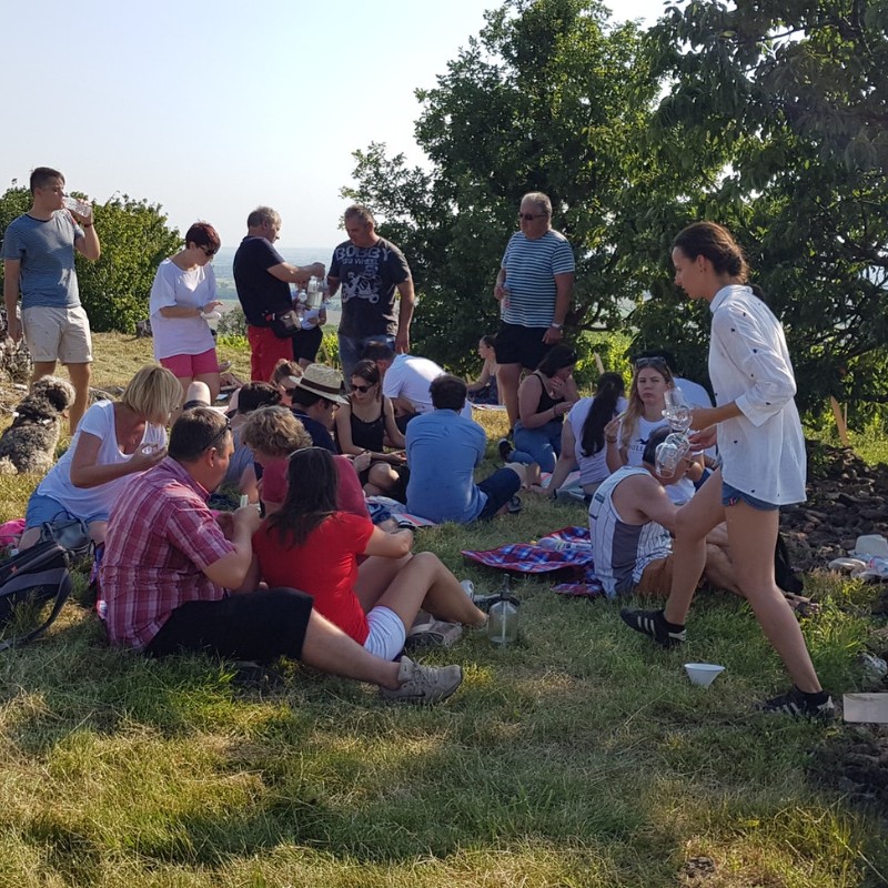 Vineyard Tour Crowd