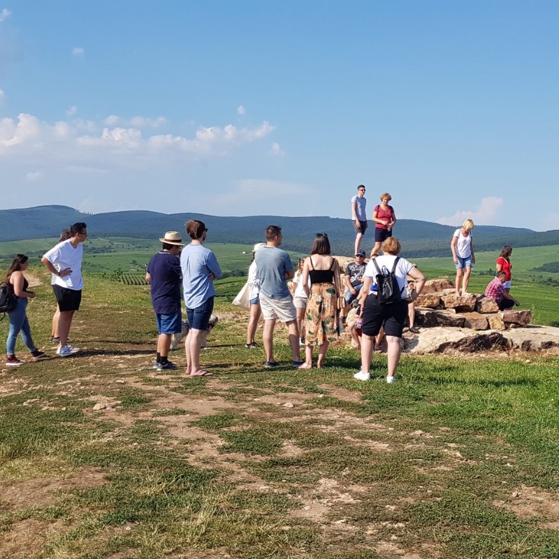 Vineyard Tour View